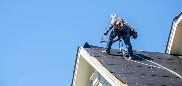Best Shingle Roofing Installation  in Thibodaux, LA